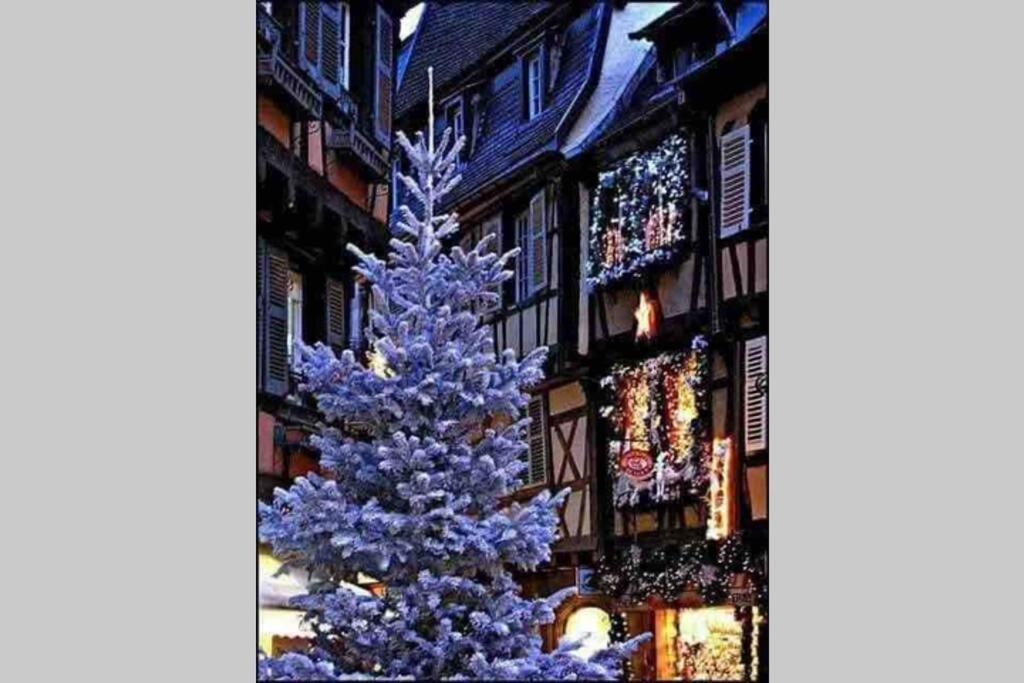 Apartament Coeur Alsace Colmar Zewnętrze zdjęcie