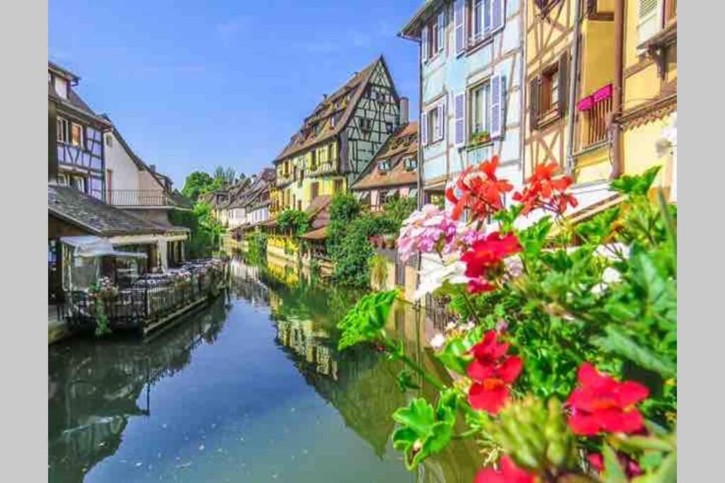 Apartament Coeur Alsace Colmar Zewnętrze zdjęcie