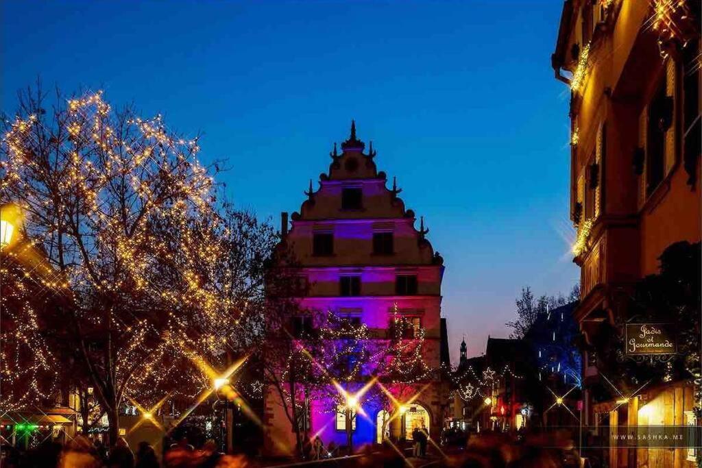 Apartament Coeur Alsace Colmar Zewnętrze zdjęcie