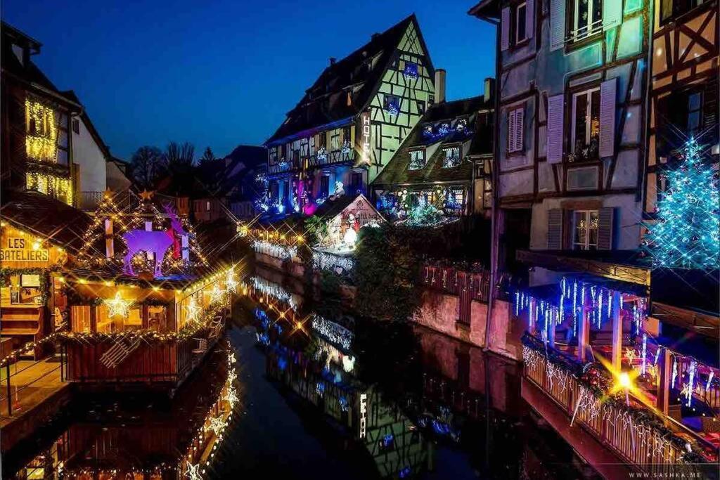 Apartament Coeur Alsace Colmar Zewnętrze zdjęcie