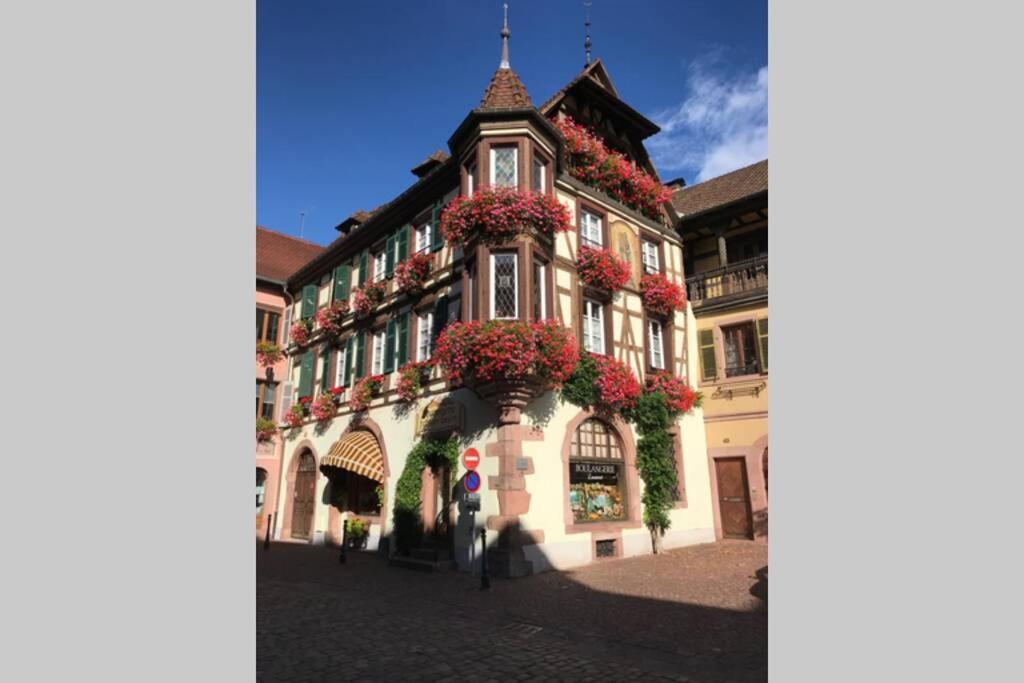 Apartament Coeur Alsace Colmar Zewnętrze zdjęcie