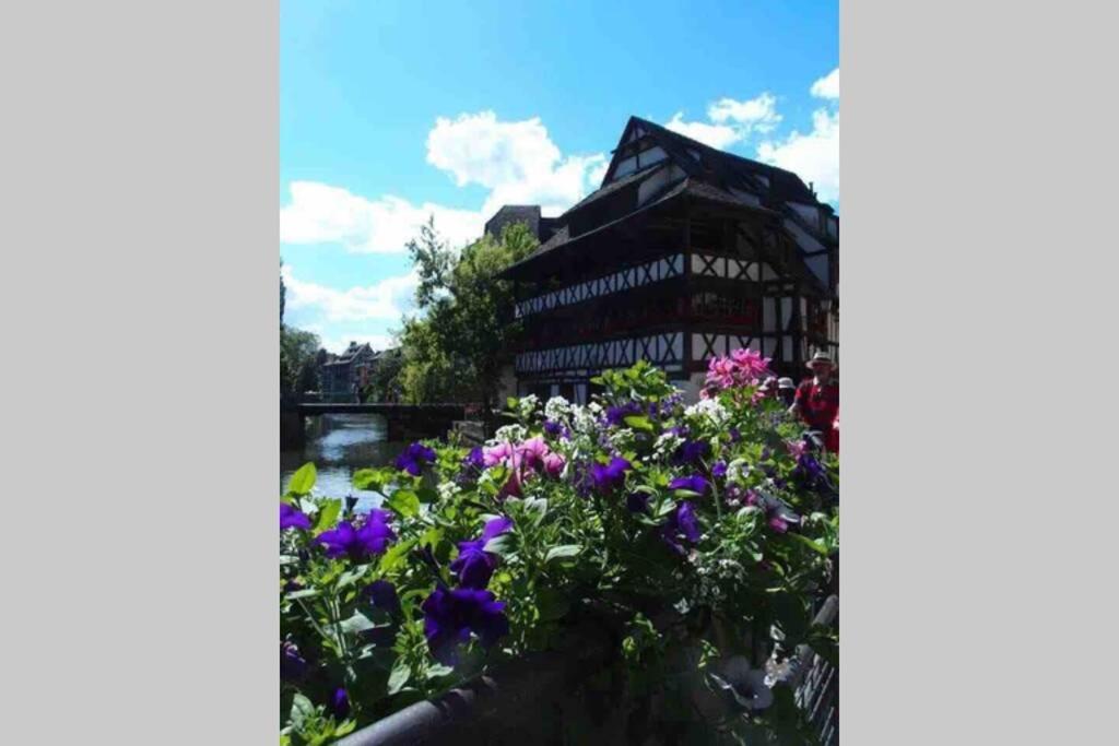 Apartament Coeur Alsace Colmar Zewnętrze zdjęcie