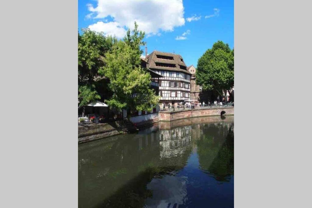 Apartament Coeur Alsace Colmar Zewnętrze zdjęcie