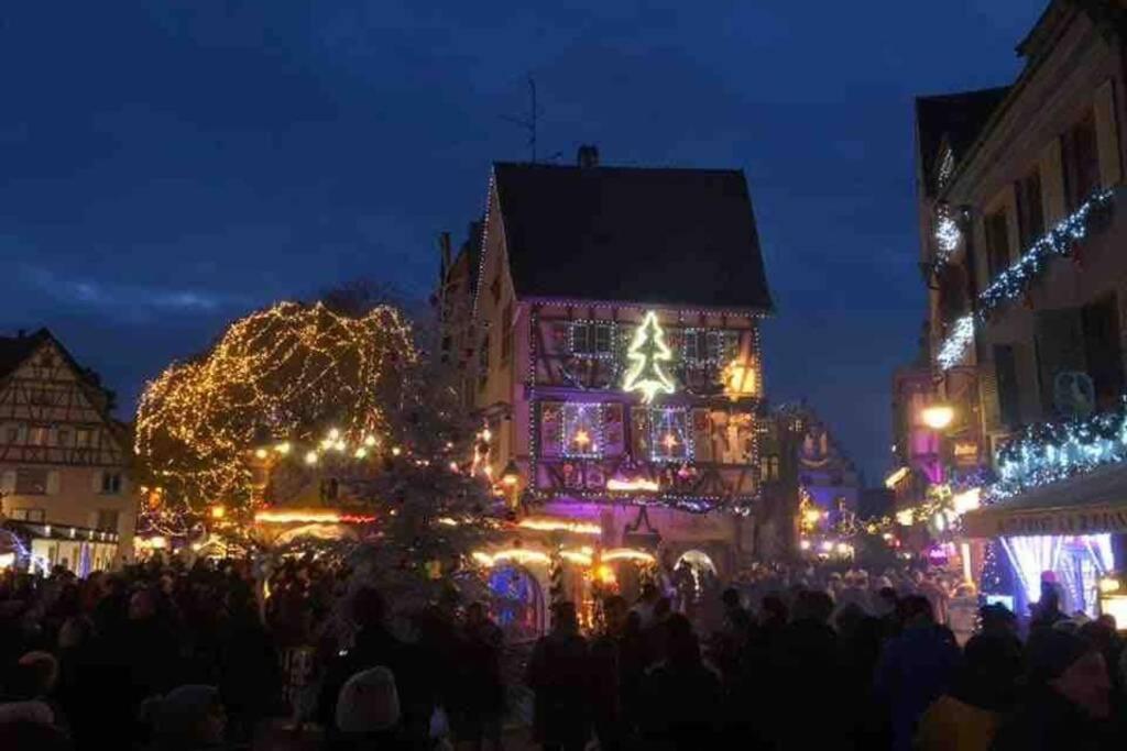 Apartament Coeur Alsace Colmar Zewnętrze zdjęcie
