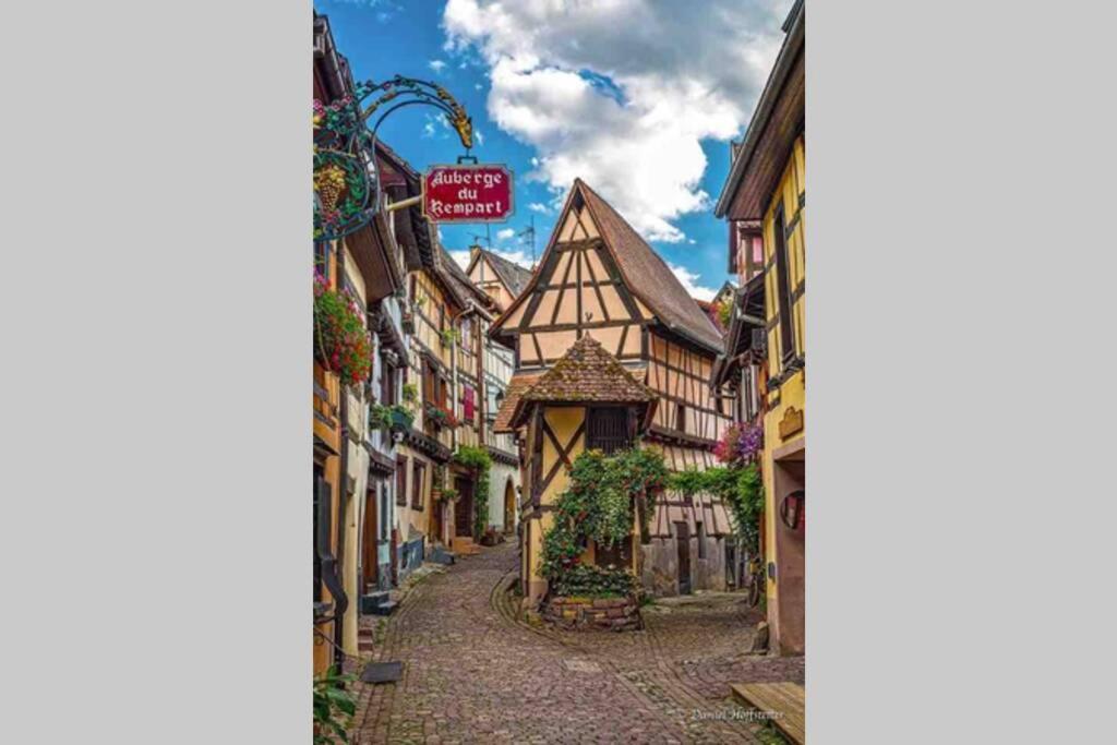 Apartament Coeur Alsace Colmar Zewnętrze zdjęcie