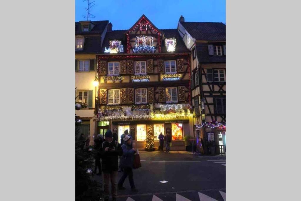 Apartament Coeur Alsace Colmar Zewnętrze zdjęcie