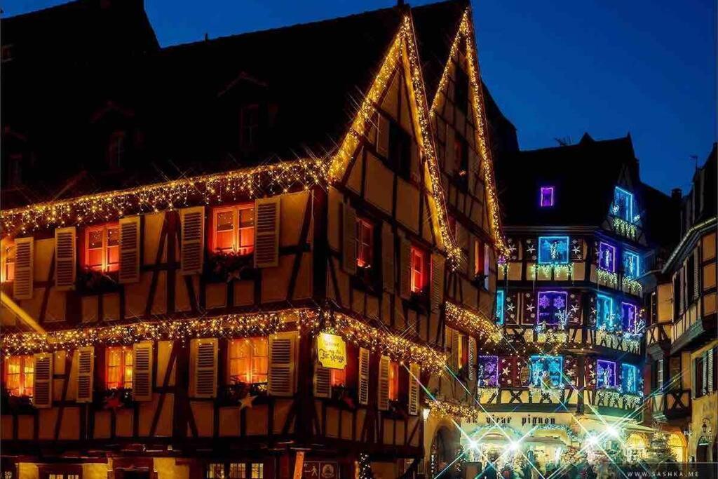 Apartament Coeur Alsace Colmar Zewnętrze zdjęcie