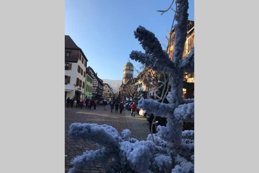 Apartament Coeur Alsace Colmar Zewnętrze zdjęcie
