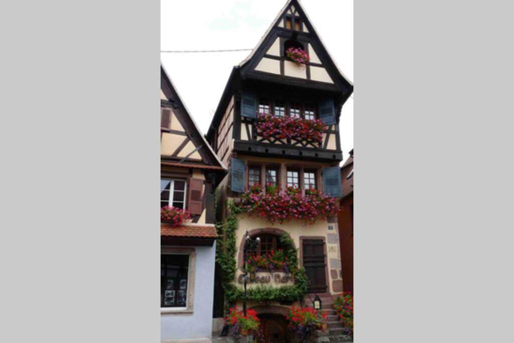 Apartament Coeur Alsace Colmar Zewnętrze zdjęcie