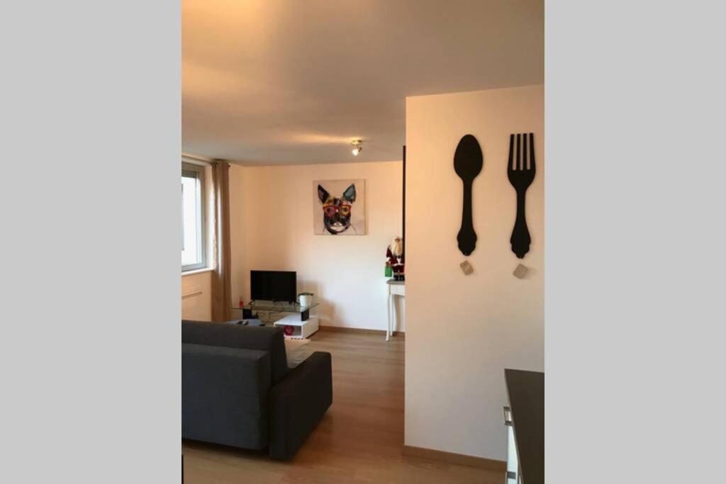 Apartament Coeur Alsace Colmar Zewnętrze zdjęcie