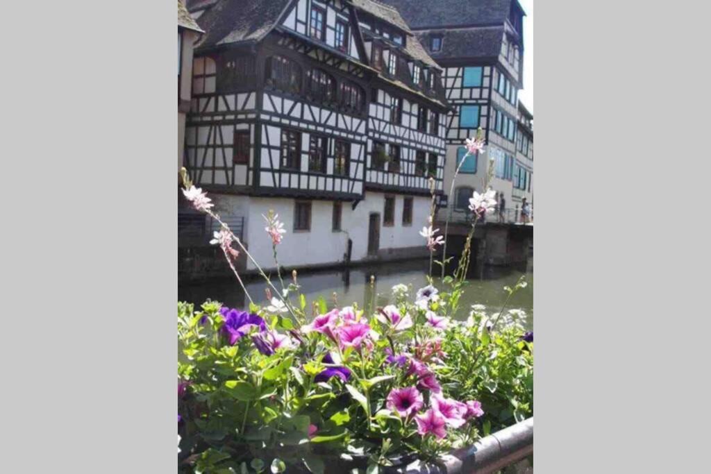 Apartament Coeur Alsace Colmar Zewnętrze zdjęcie