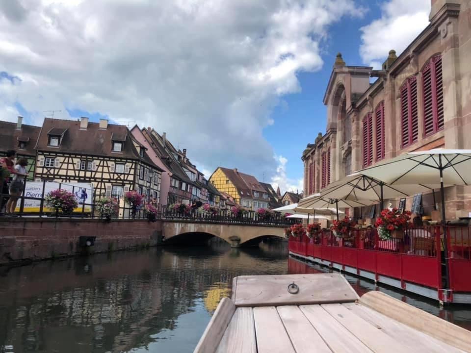 Apartament Coeur Alsace Colmar Zewnętrze zdjęcie